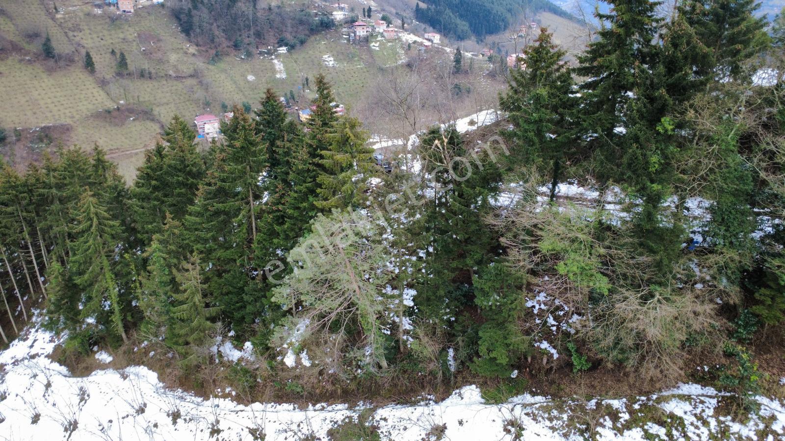 Trabzon Maçka Esiroğlunda Satılık Arazi - Görsel 26