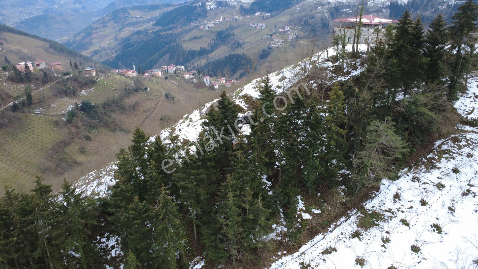 Trabzon Maçka Esiroğlunda Satılık Arazi - Görsel 29