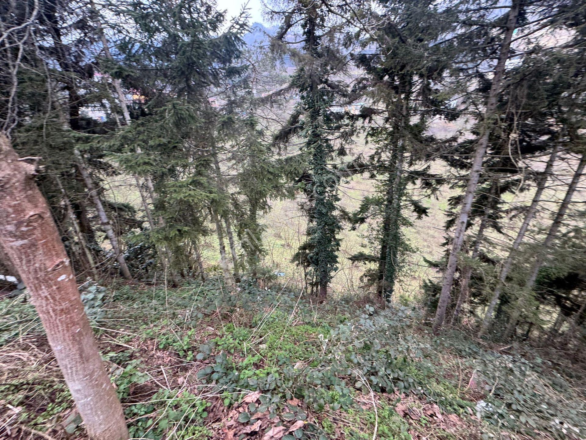 Trabzon Maçka Esiroğlunda Satılık Arazi - Görsel 13