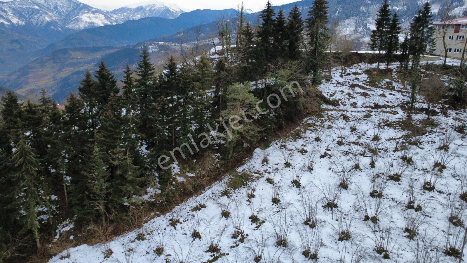 Trabzon Maçka Esiroğlunda Satılık Arazi - Görsel 21