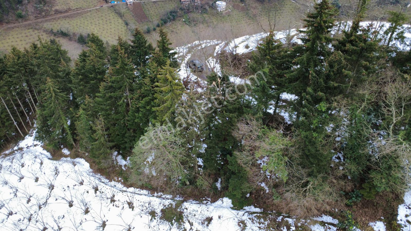 Trabzon Maçka Esiroğlunda Satılık Arazi - Görsel 27