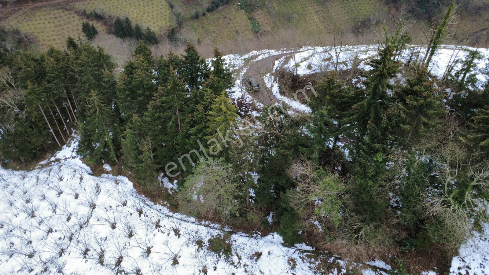 Trabzon Maçka Esiroğlunda Satılık Arazi - Görsel 32