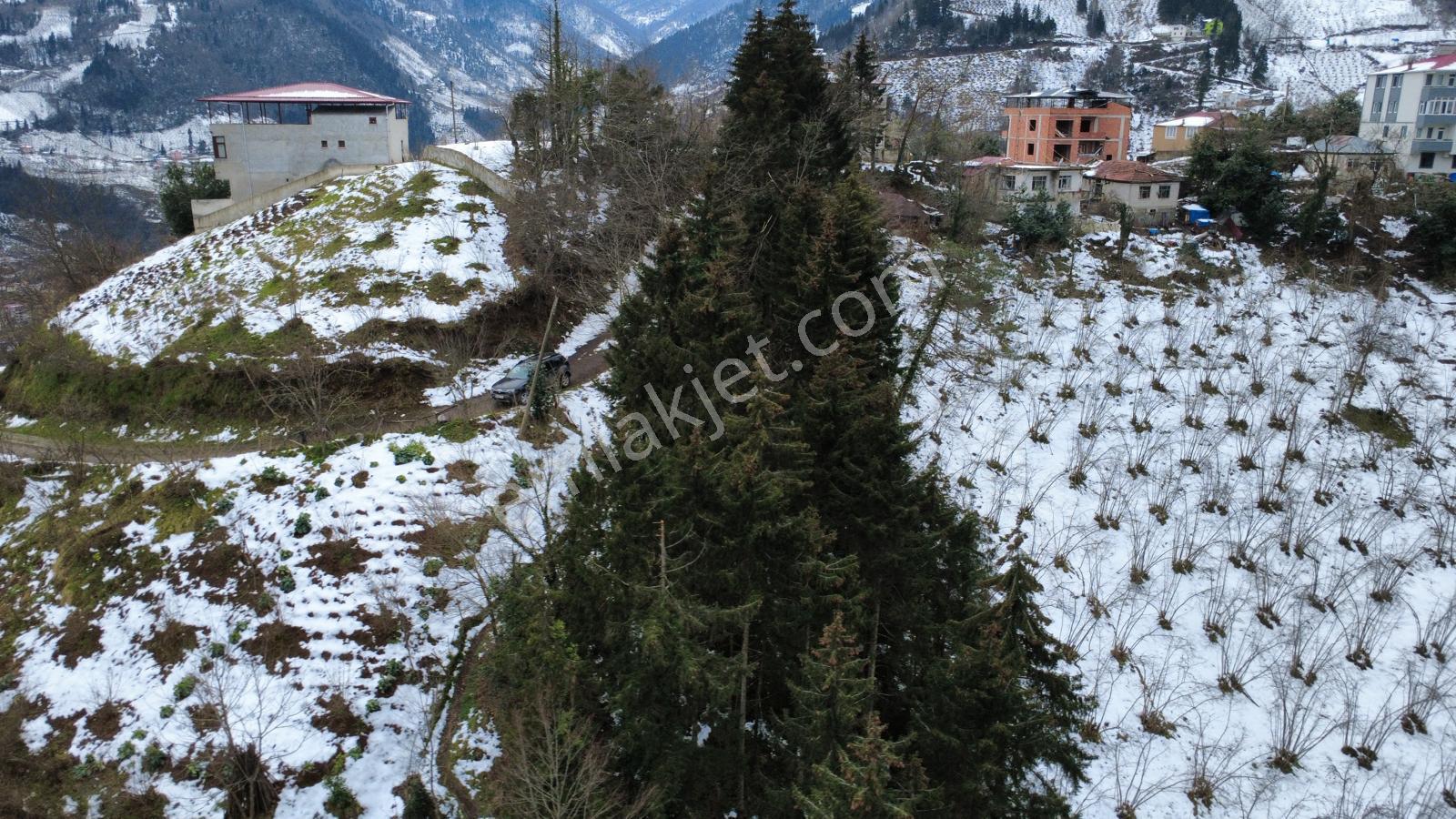 Trabzon Maçka Esiroğlunda Satılık Arazi - Görsel 19