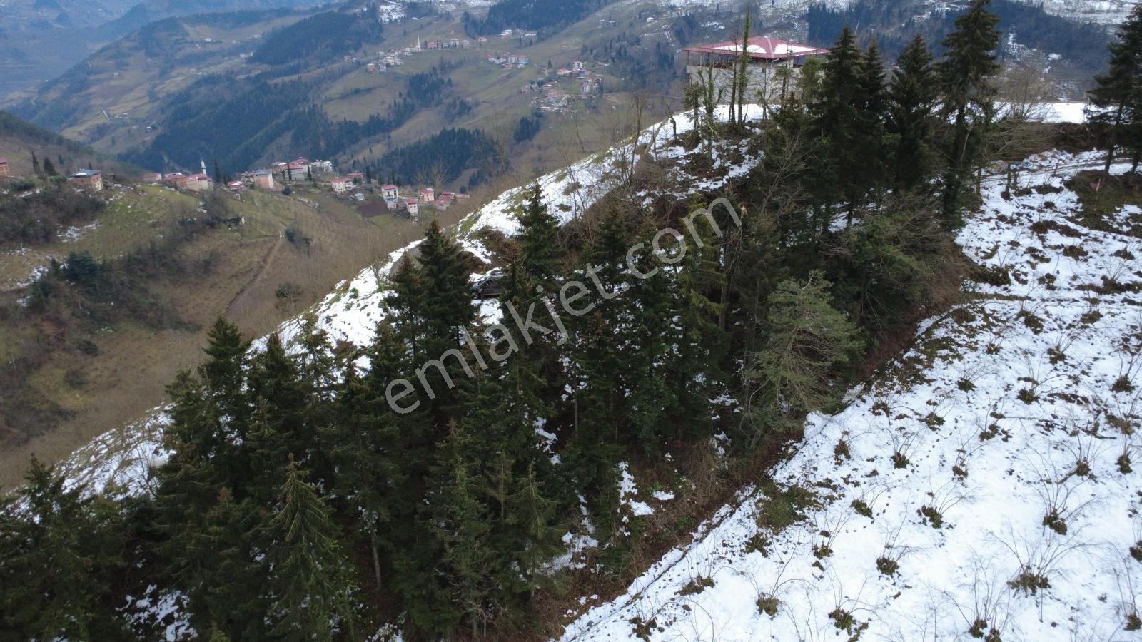 Trabzon Maçka Esiroğlunda Satılık Arazi - Görsel 6