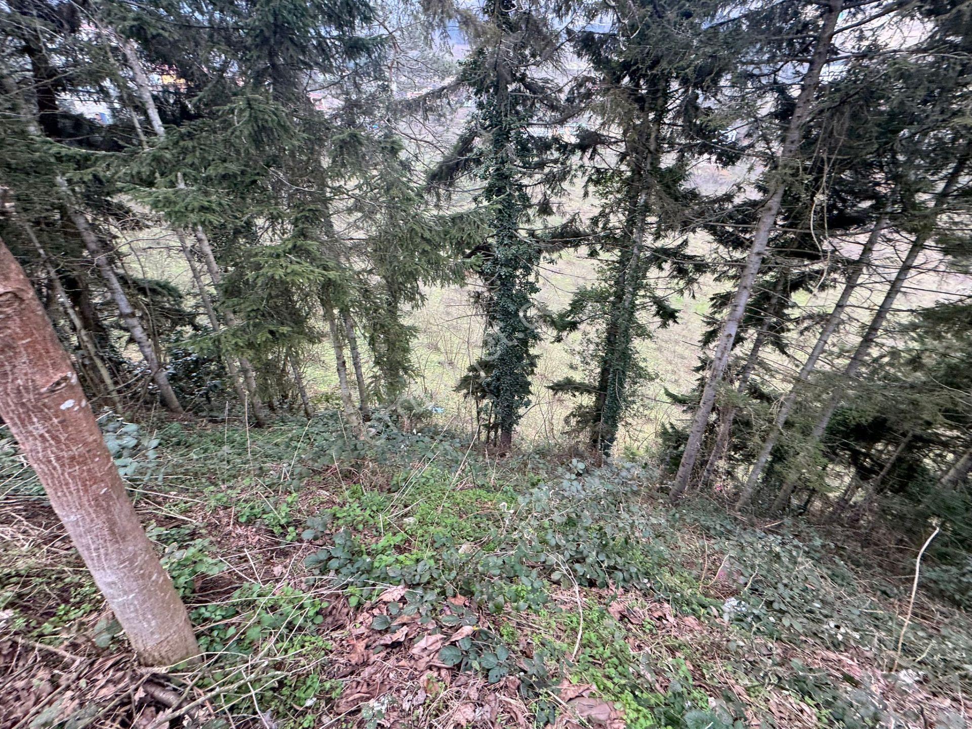 Trabzon Maçka Esiroğlunda Satılık Arazi - Görsel 12