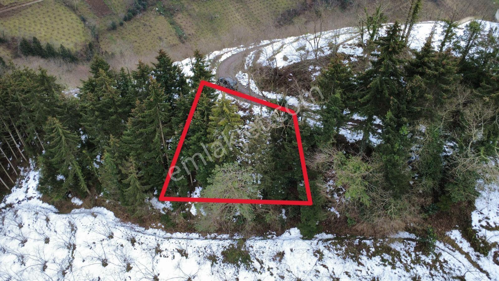 Trabzon Maçka Esiroğlunda Satılık Arazi - Görsel 2