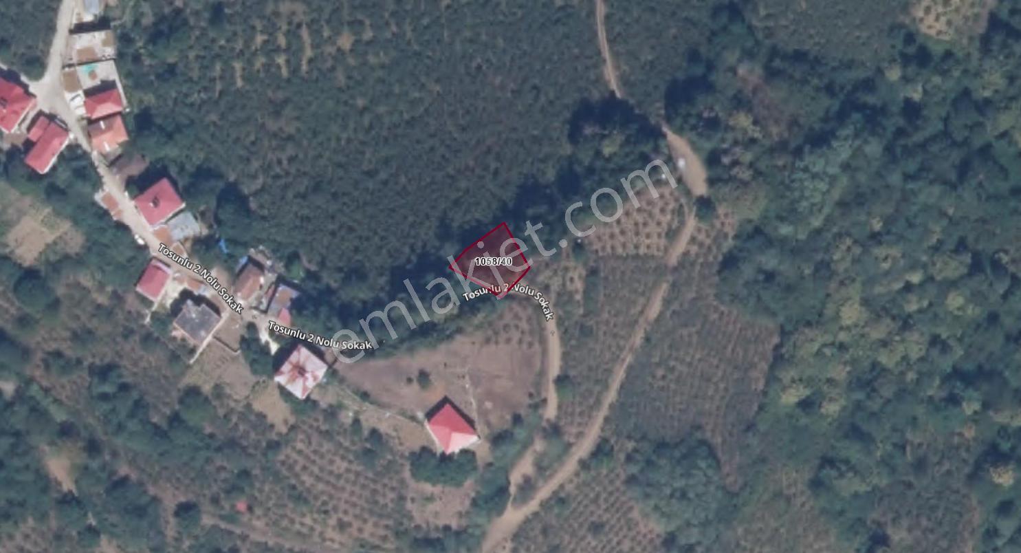 Trabzon Maçka Esiroğlunda Satılık Arazi - Görsel 20