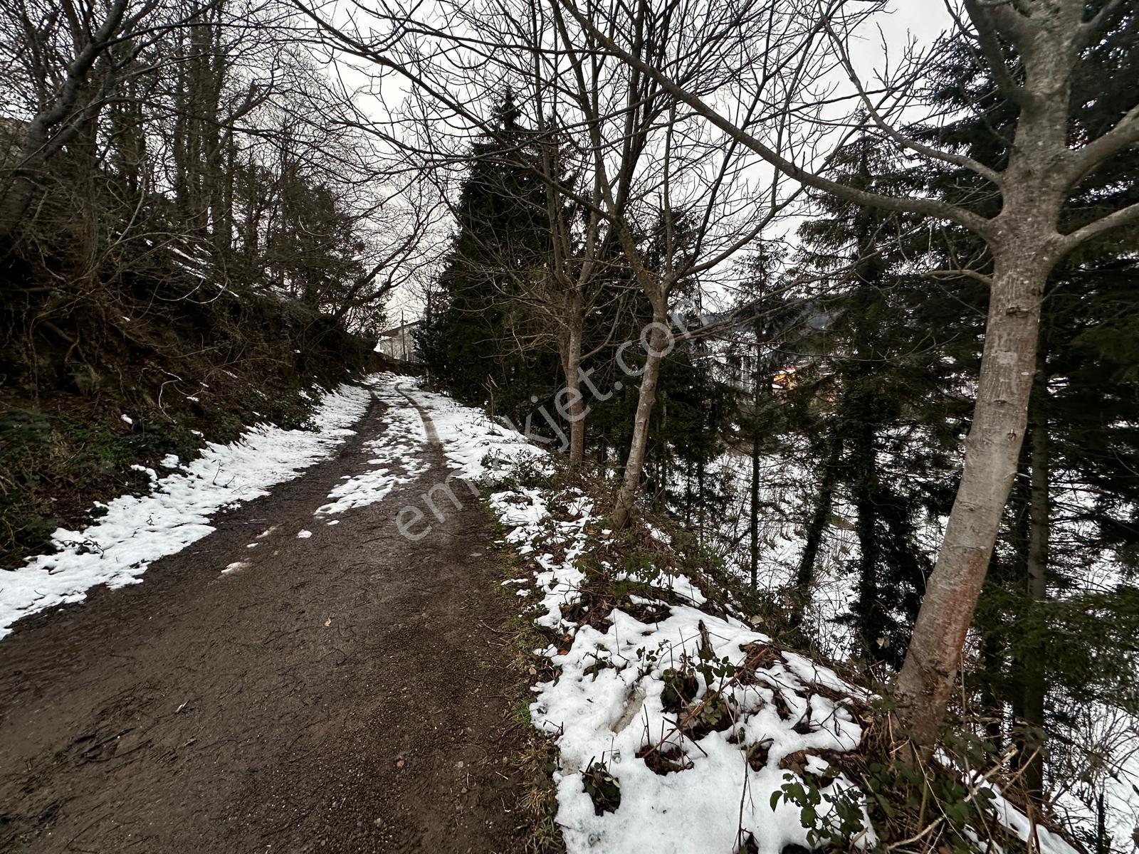 Trabzon Maçka Esiroğlunda Satılık Arazi - Görsel 7