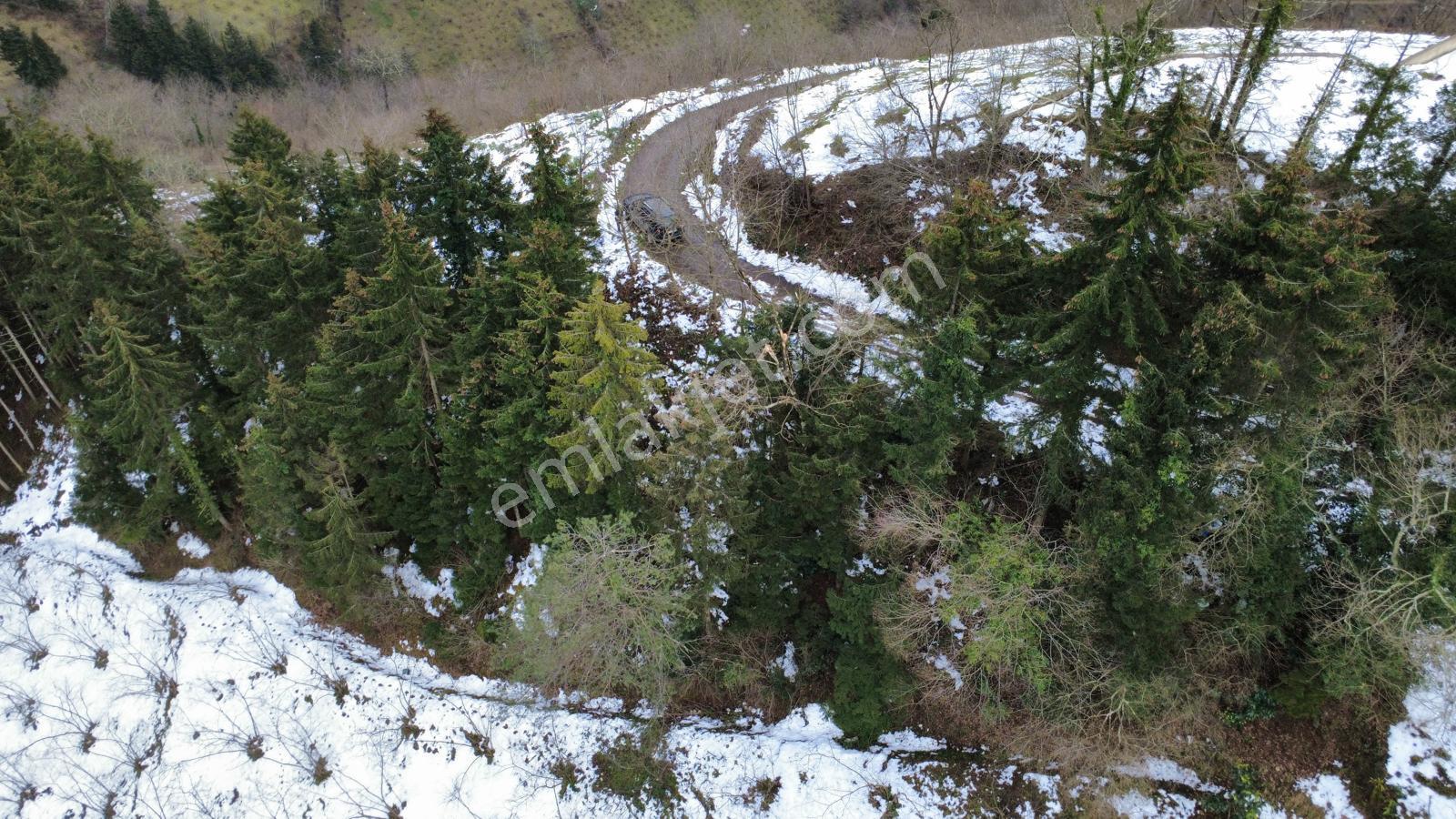 Trabzon Maçka Esiroğlunda Satılık Arazi