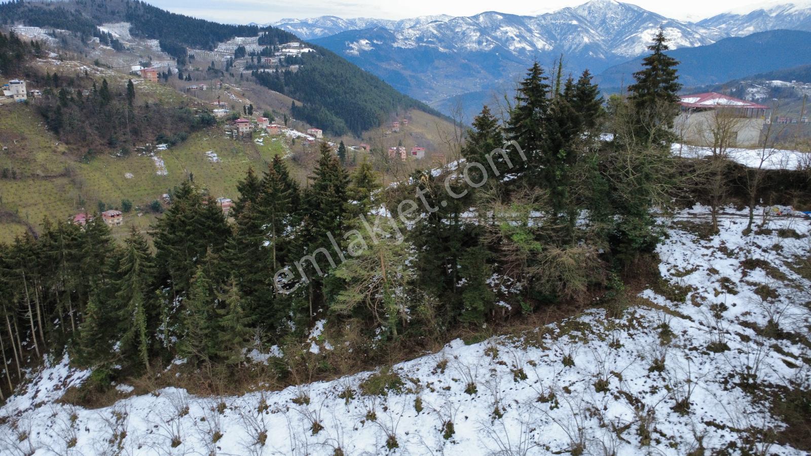Trabzon Maçka Esiroğlunda Satılık Arazi - Görsel 23