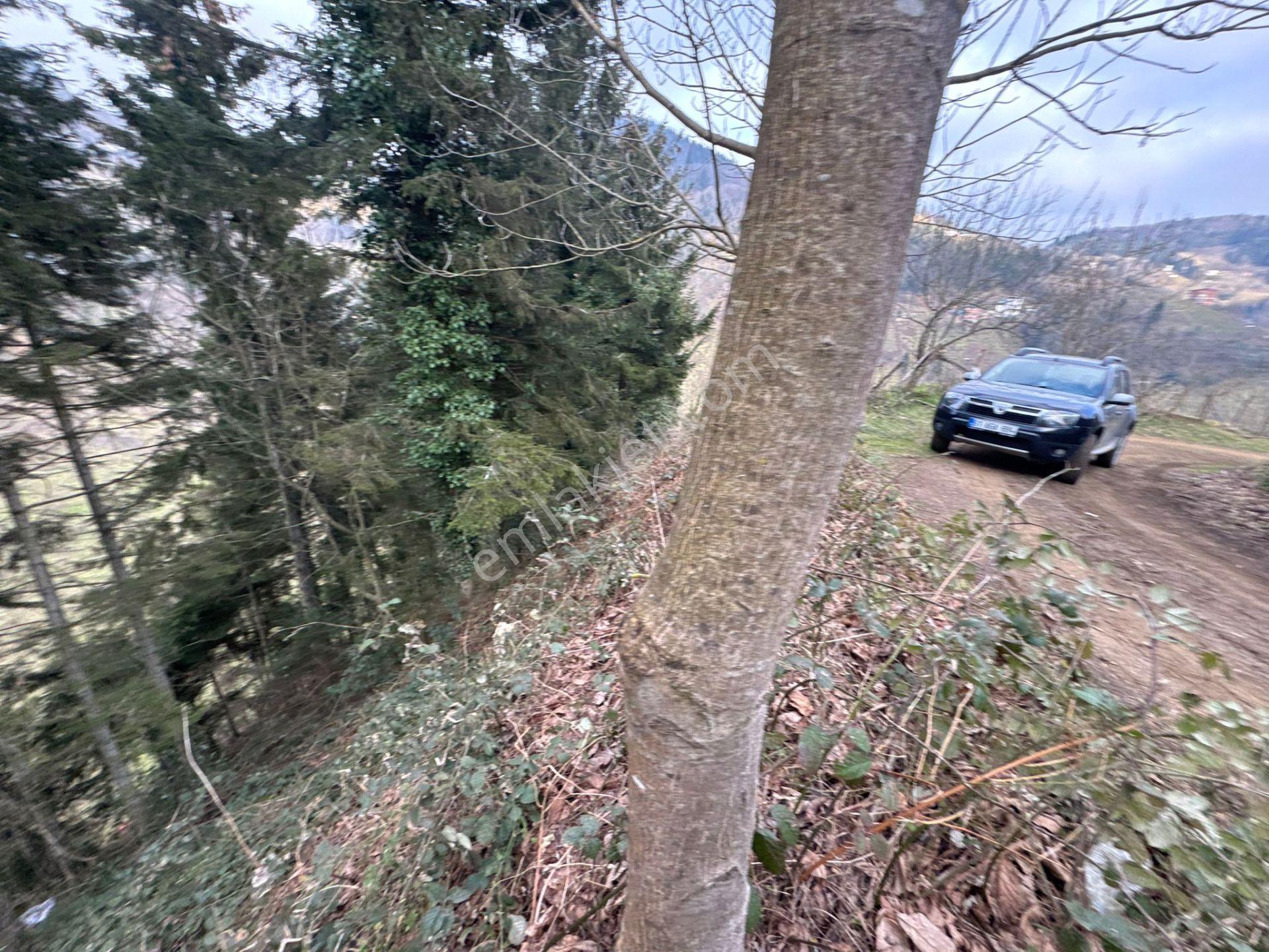 Trabzon Maçka Esiroğlunda Satılık Arazi - Görsel 35