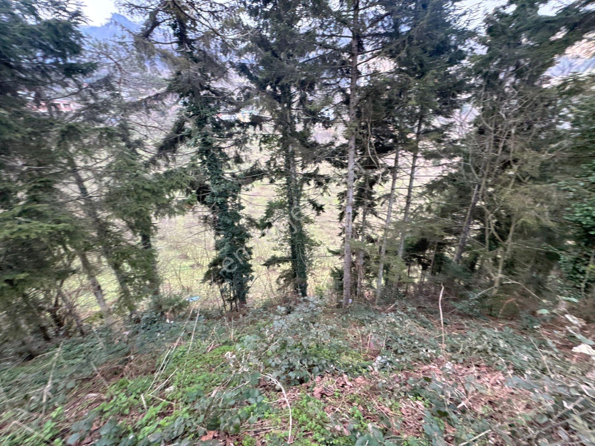 Trabzon Maçka Esiroğlunda Satılık Arazi - Görsel 34