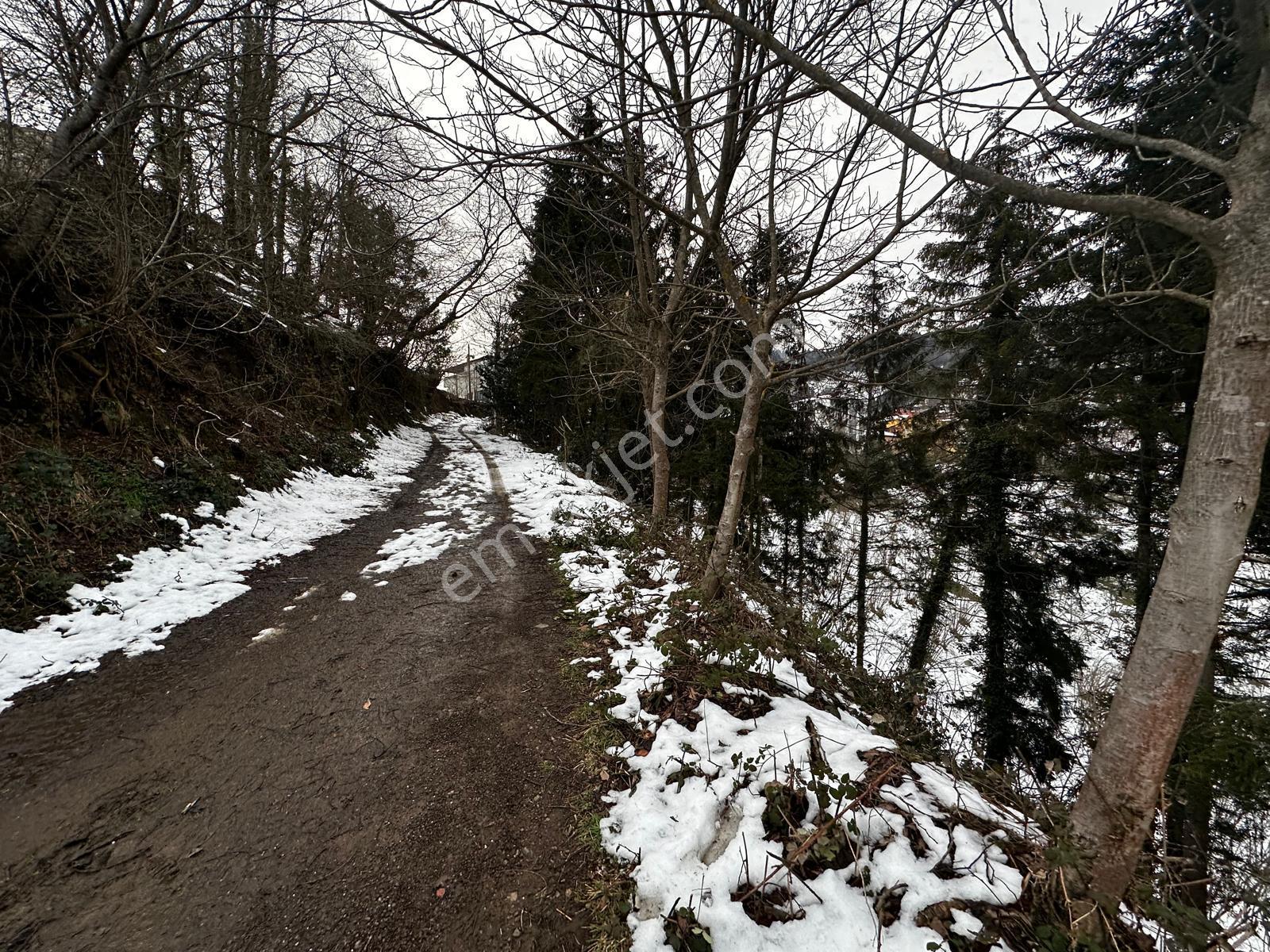 Trabzon Maçka Esiroğlunda Satılık Arazi - Görsel 15