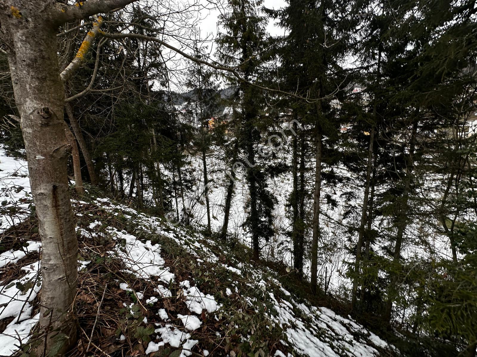Trabzon Maçka Esiroğlunda Satılık Arazi - Görsel 11