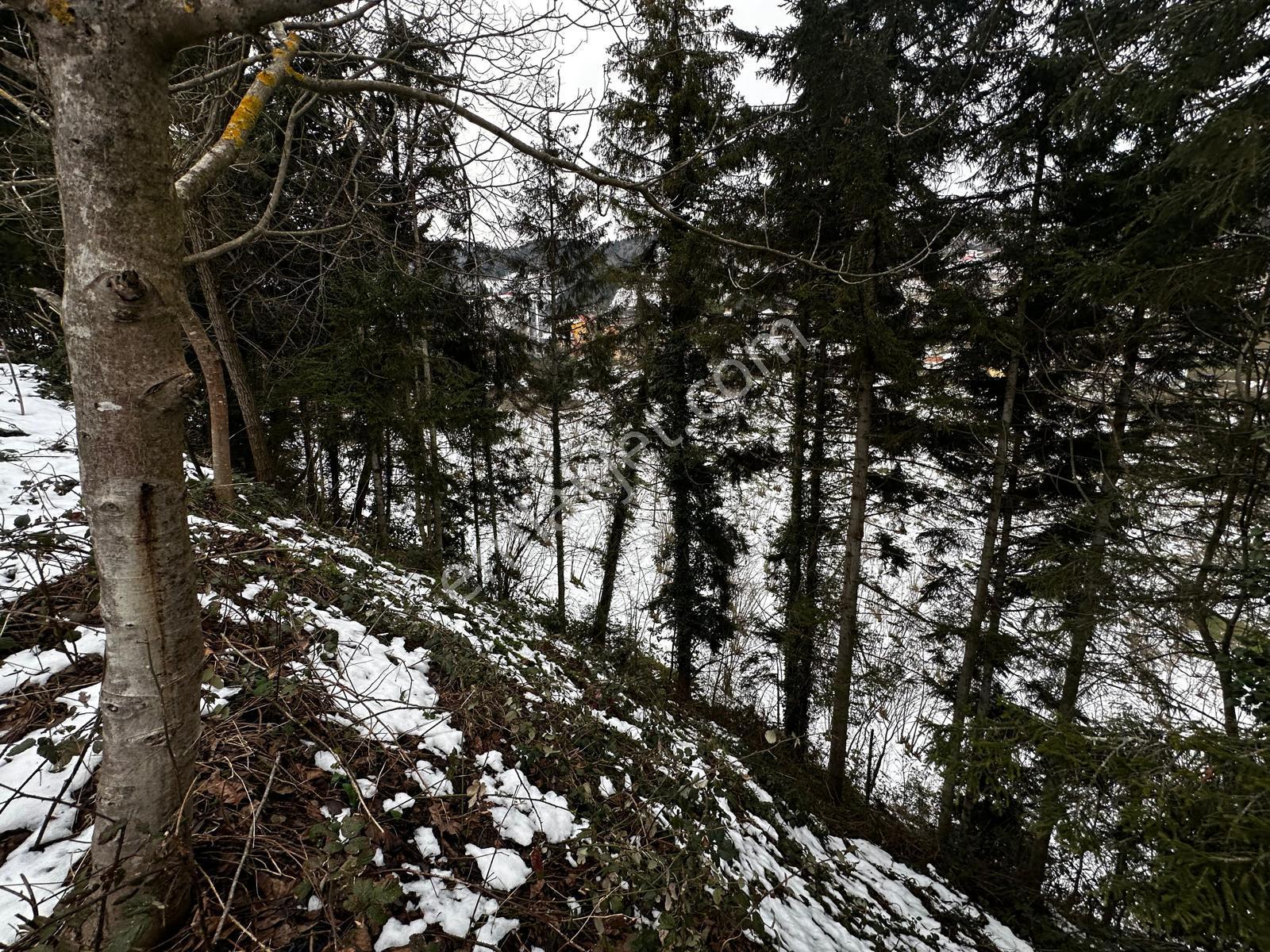 Trabzon Maçka Esiroğlunda Satılık Arazi - Görsel 3