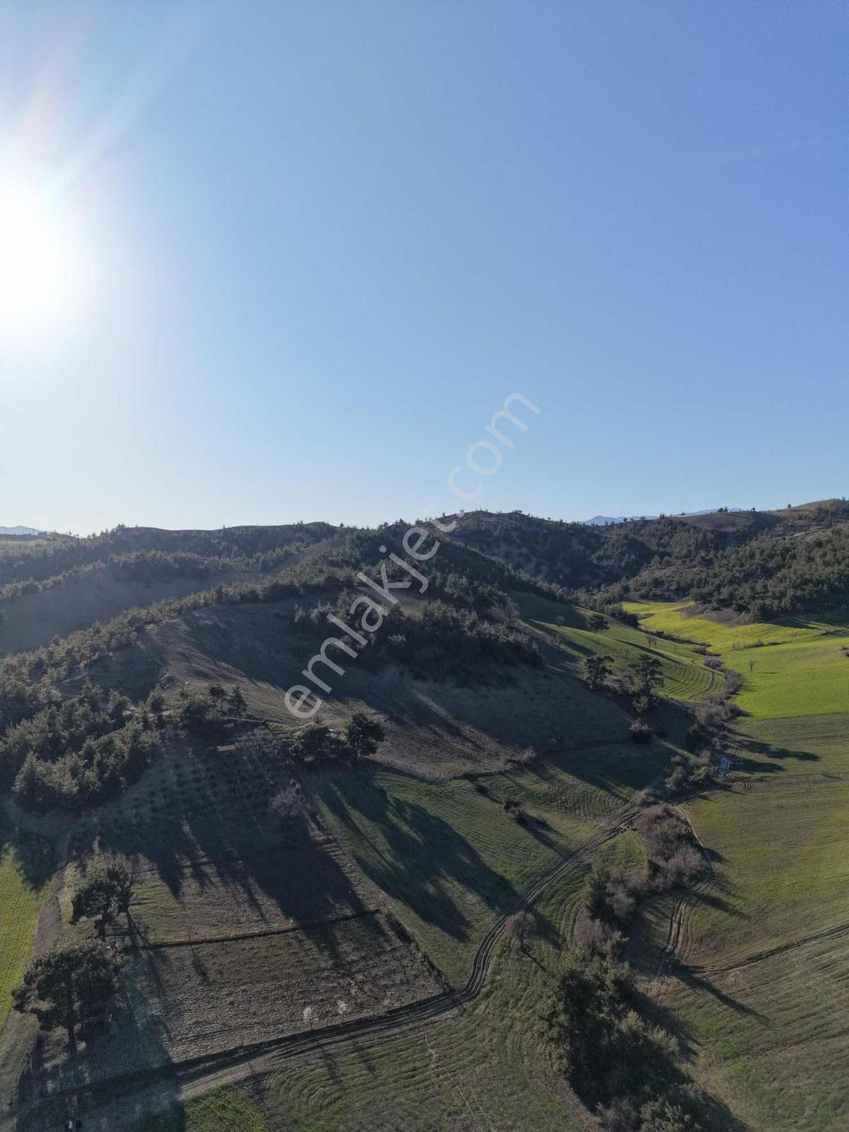 Re/max Yenigayrimenkul´den Bulutoğlu´nda Yatırımlık Tarla - Görsel 2