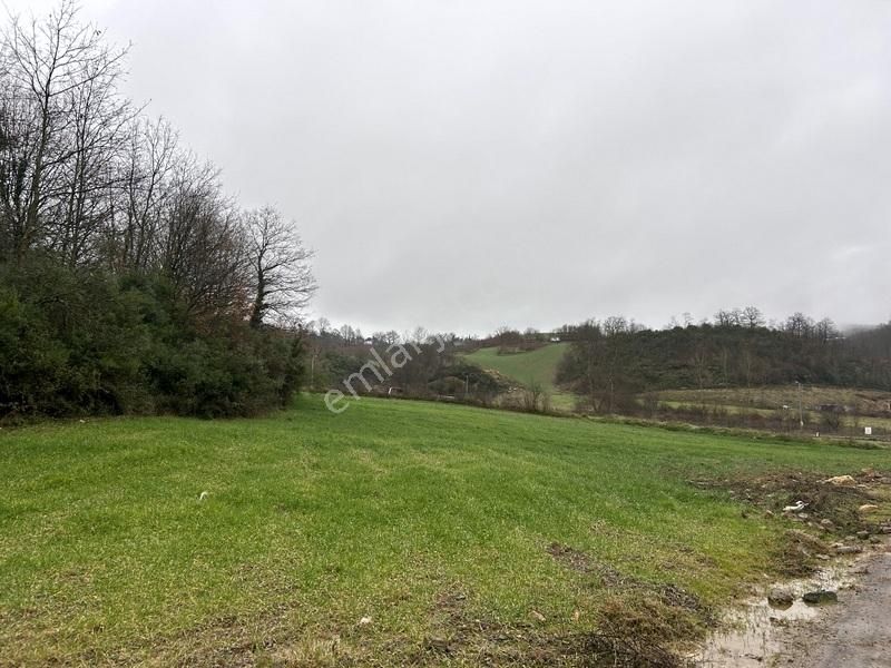 Tülay Özkök'ten Şile Yaka Mahallesi Suya Yakın Satılık Arsa - Görsel 17