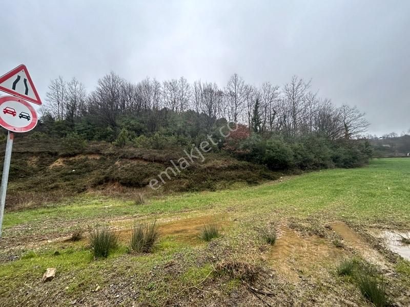 Tülay Özkök'ten Şile Yaka Mahallesi Suya Yakın Satılık Arsa - Görsel 8