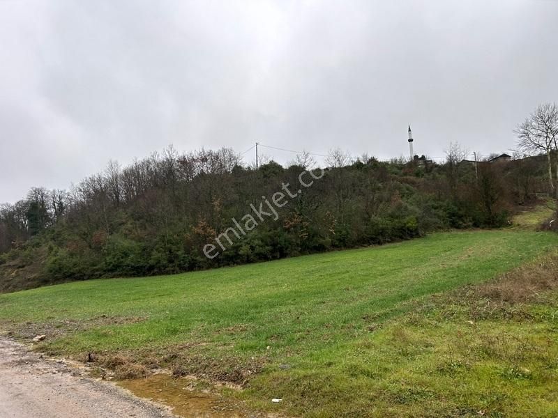 Tülay Özkök'ten Şile Yaka Mahallesi Suya Yakın Satılık Arsa - Görsel 5