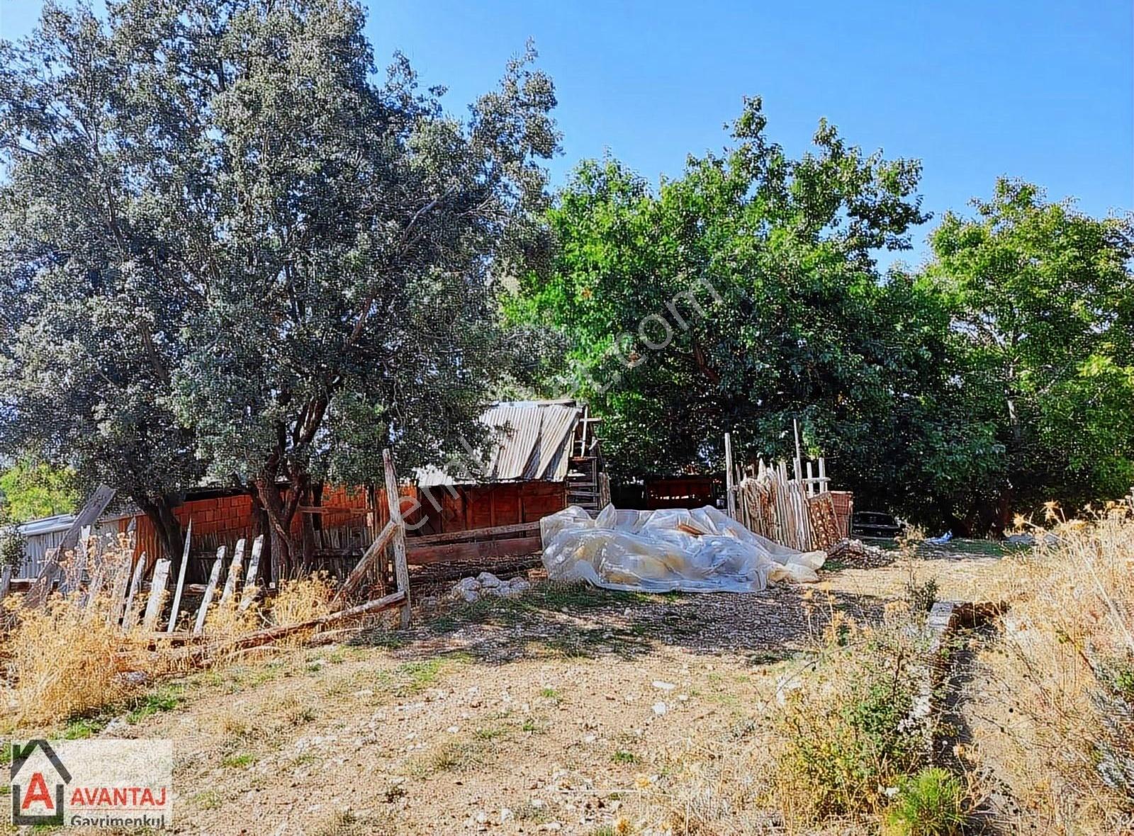 Muğla Seydikemer Bağlıağaç Satılık Bahçe Tarla - Görsel 4