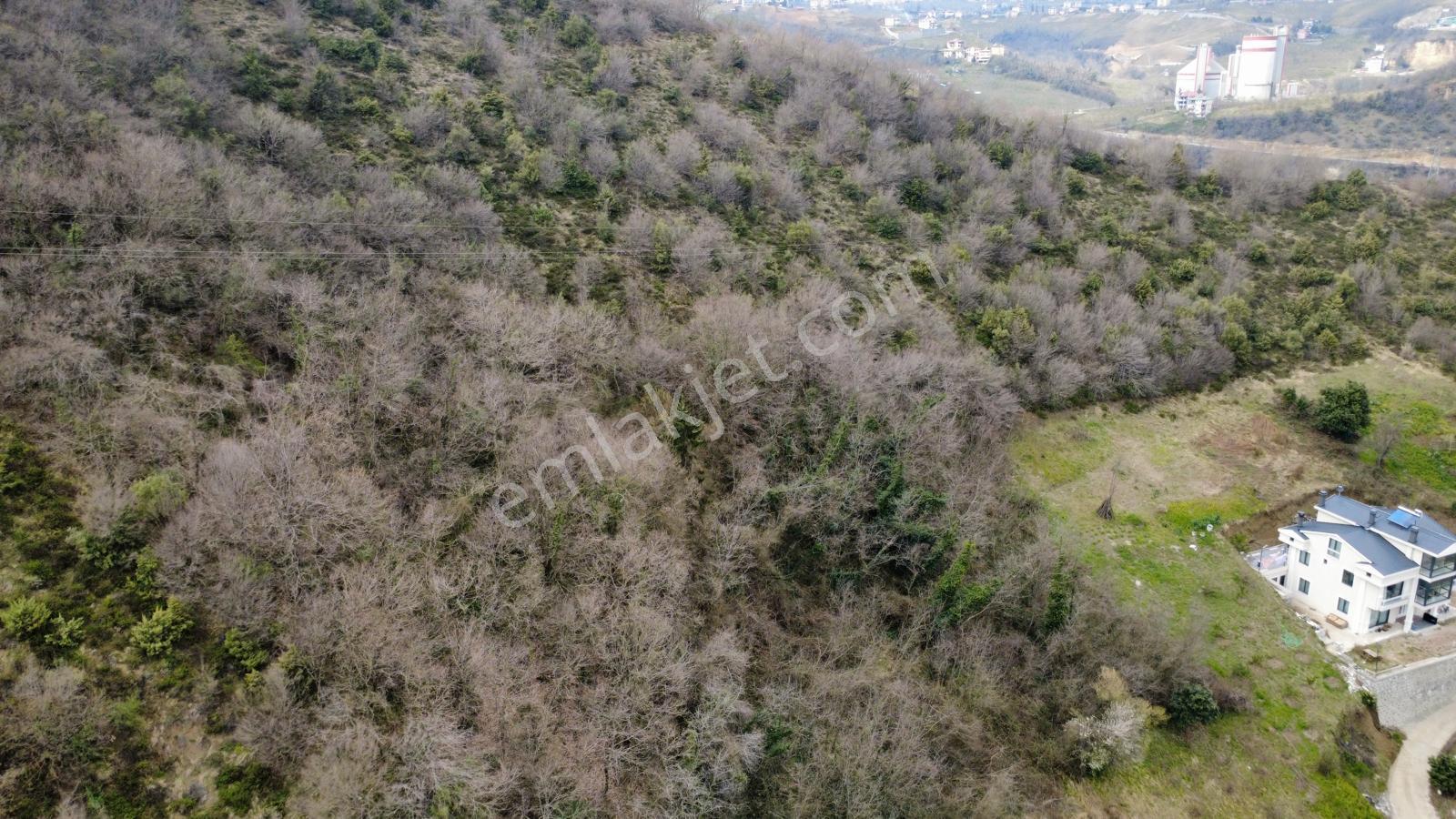 Trabzon'da Satılık Arsa - Görsel 15