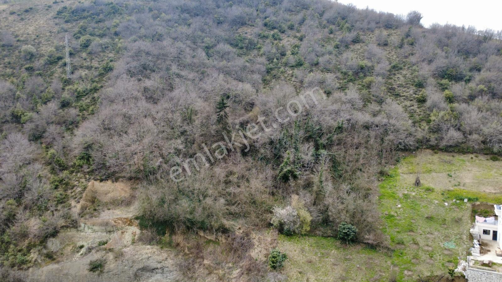 Trabzon'da Satılık Arsa - Görsel 24