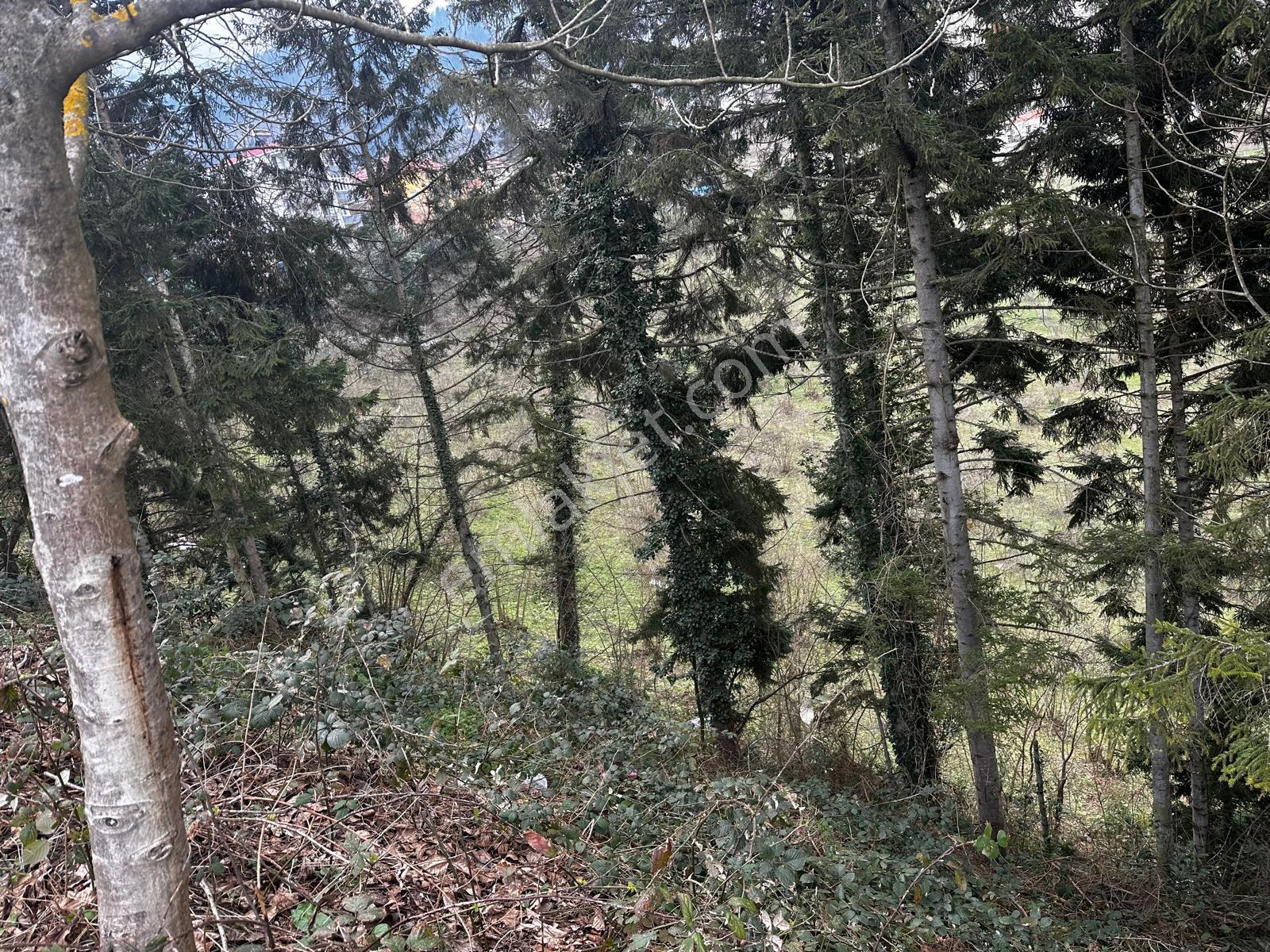Trabzon'da Satılık Arsa - Görsel 14