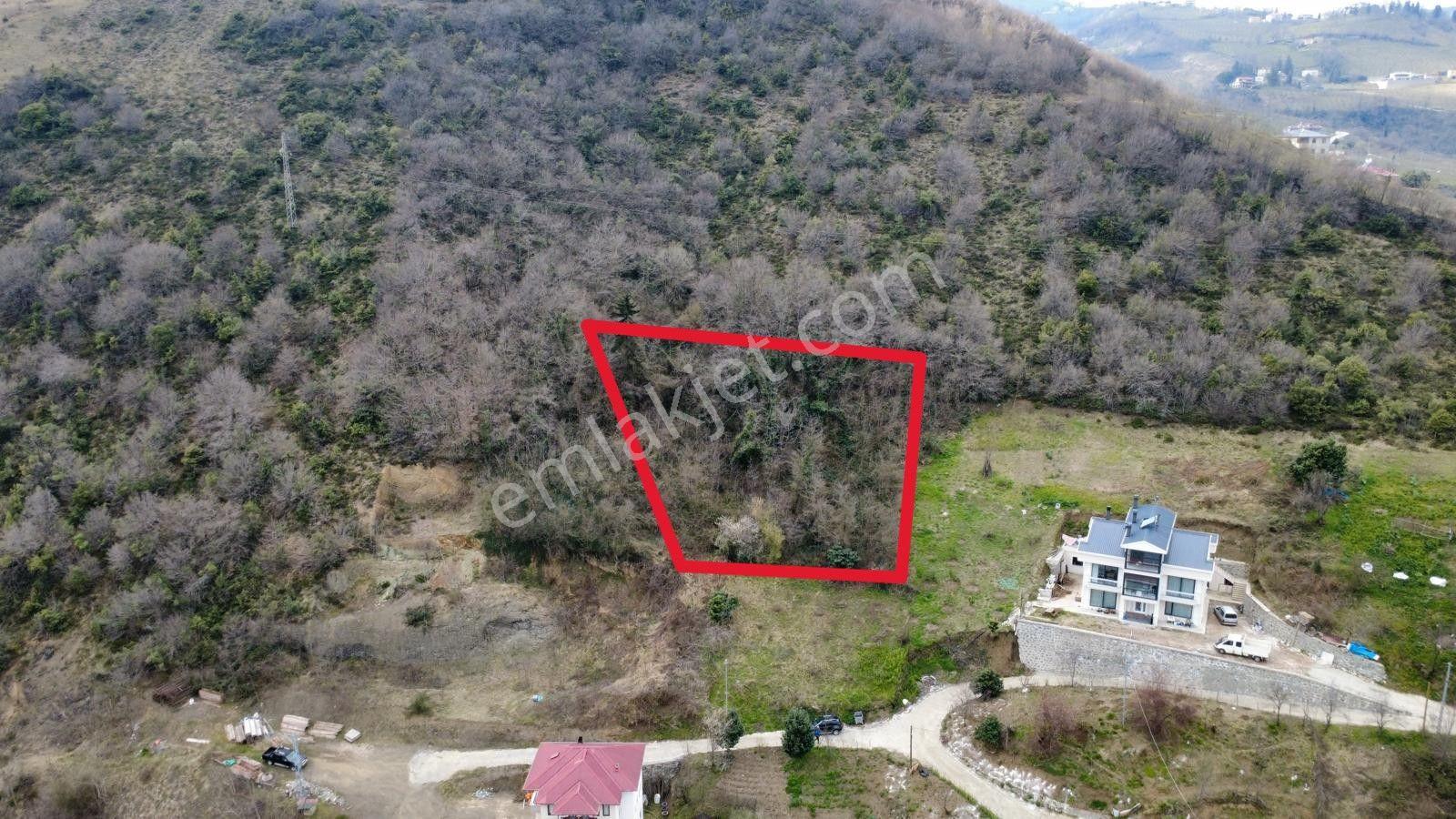 Trabzon'da Satılık Arsa - Görsel 7