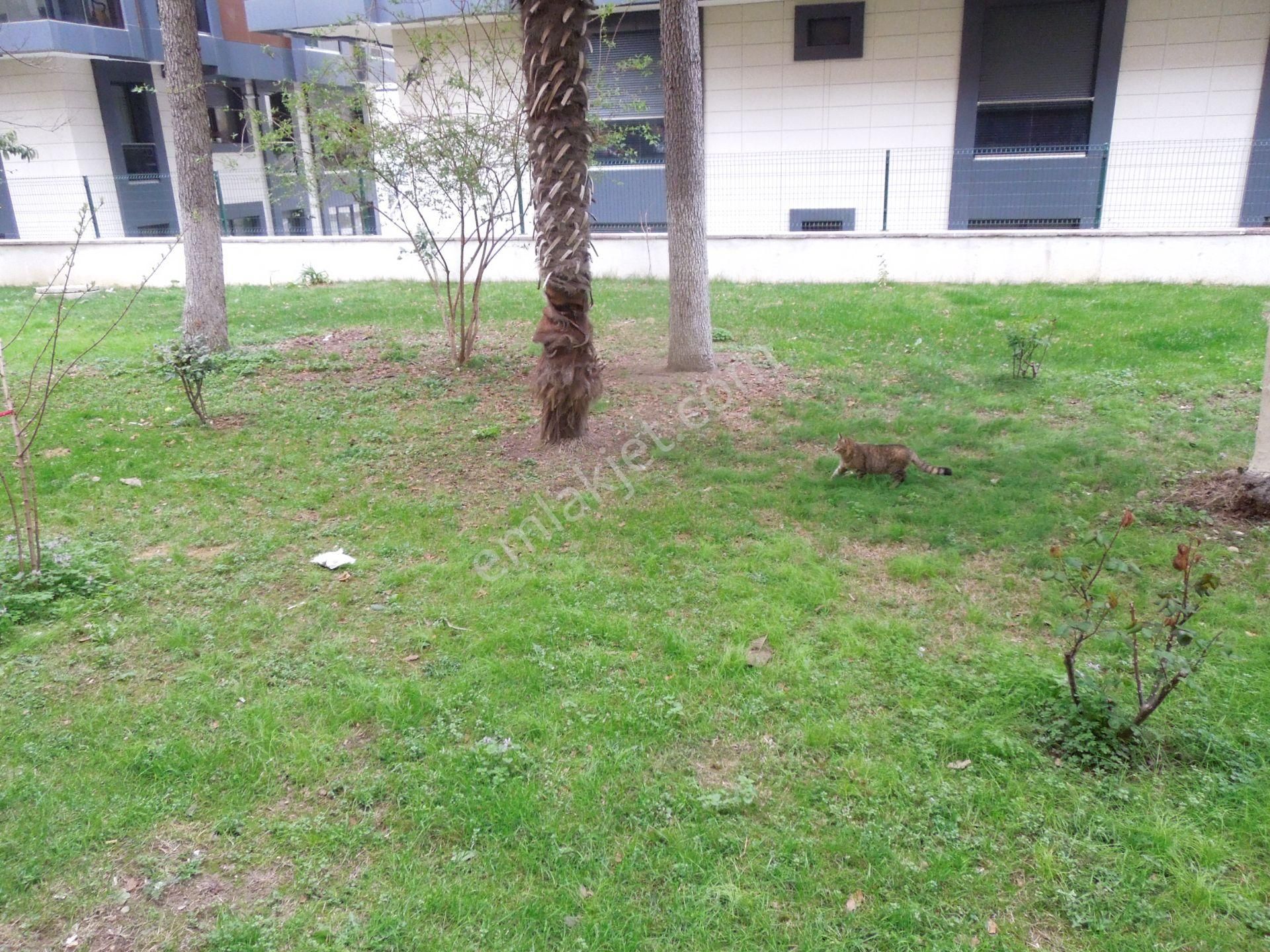 Çınar'da, Marmaraya Paralel , Site İçerisinde , 2+1 Daire