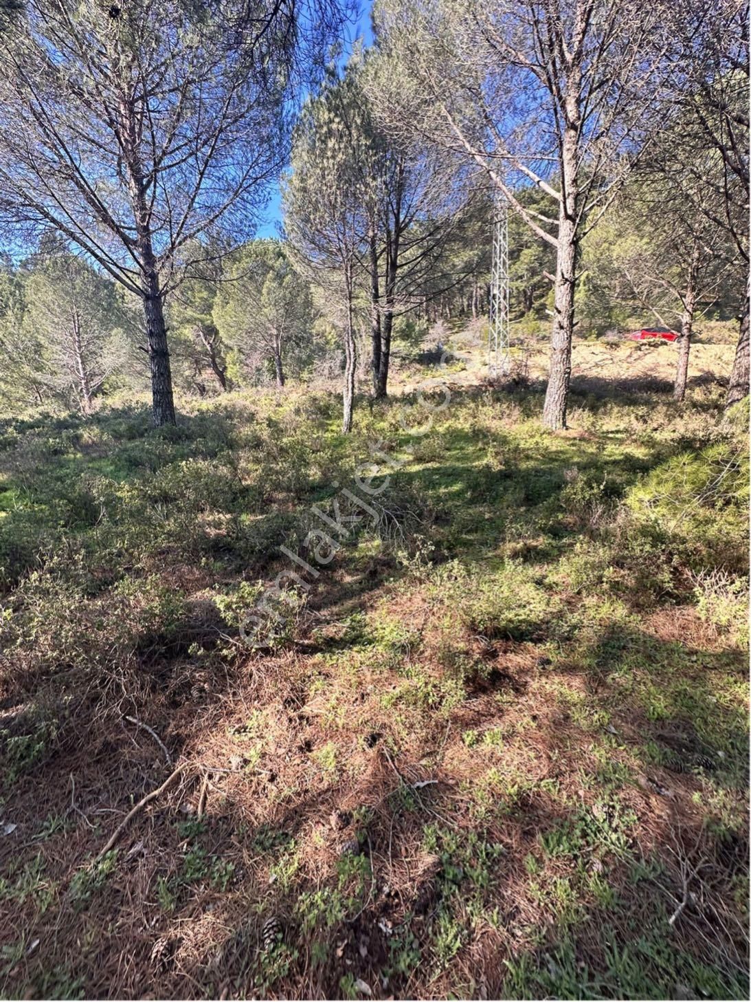 Kozak Çelebi Emlak Tan Bergama Yoluna 100 Metre 2400 M2 Çamlık - Görsel 15