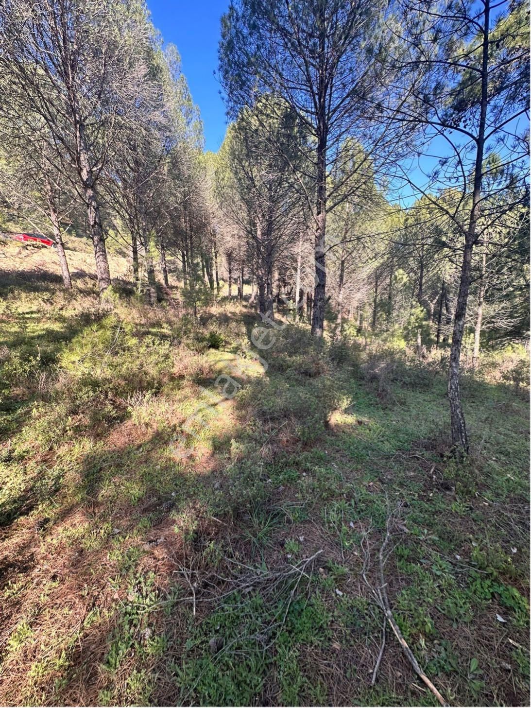 Kozak Çelebi Emlak Tan Bergama Yoluna 100 Metre 2400 M2 Çamlık - Görsel 14