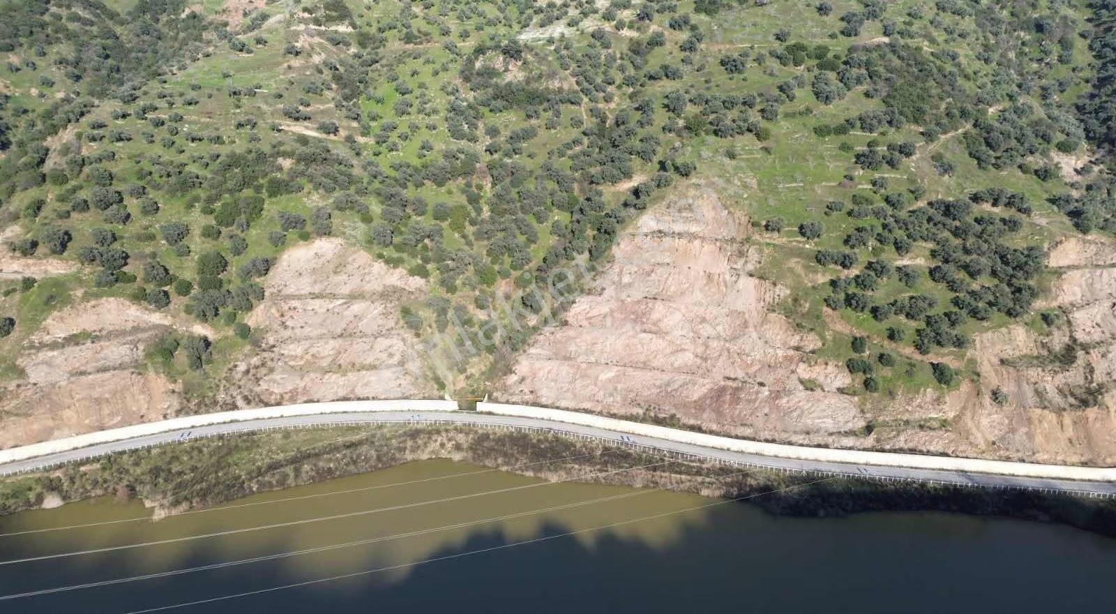 İsabeyli'de Baraj Manzaralı Satılık 1.600m2 Zeytinlik - Görsel 8
