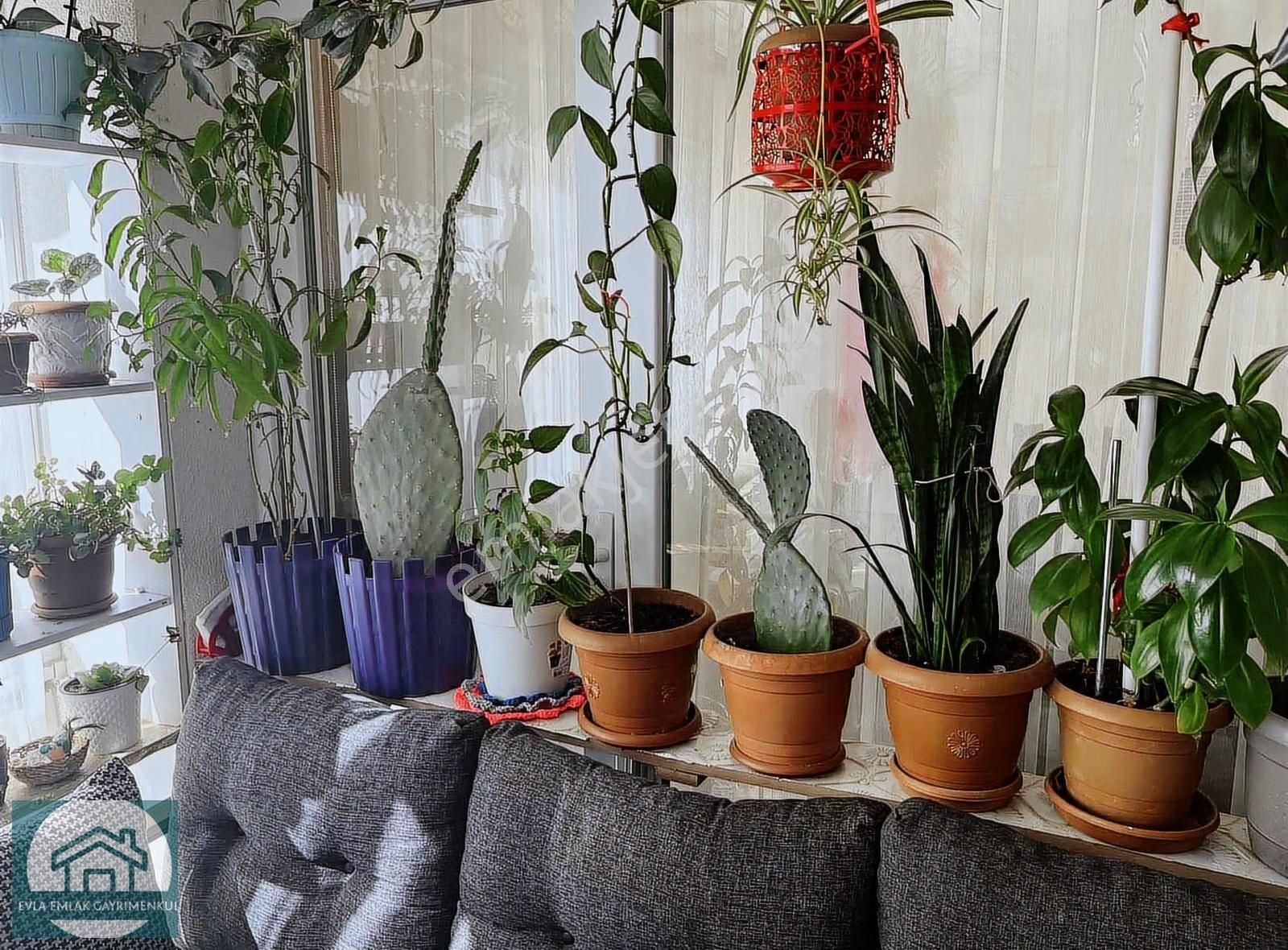 Uşak Merkez Karaağaç Mahallesinde Satılık 3+1 Daire