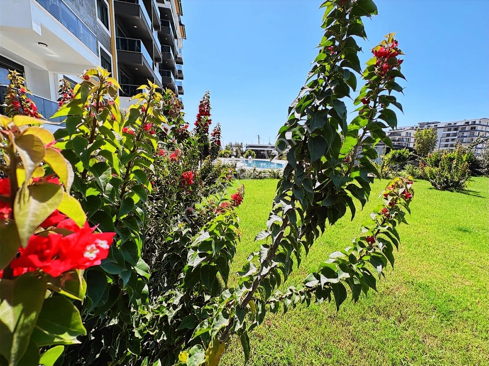 Aktiviteli Site Full Eşyalı 1+1