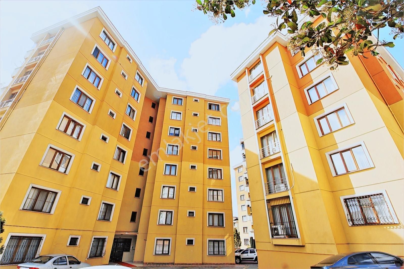 Özel Dekorasyonlu Adalar Manzaralı Geniş Daire | Tekce - Görsel 35