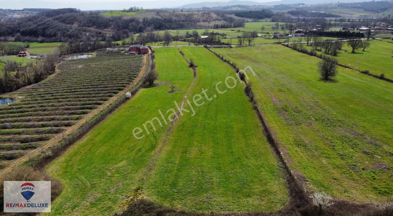 İzmit Akmeşe Cumhuriyet Mah. 13.871 M2 Satılık Parsel