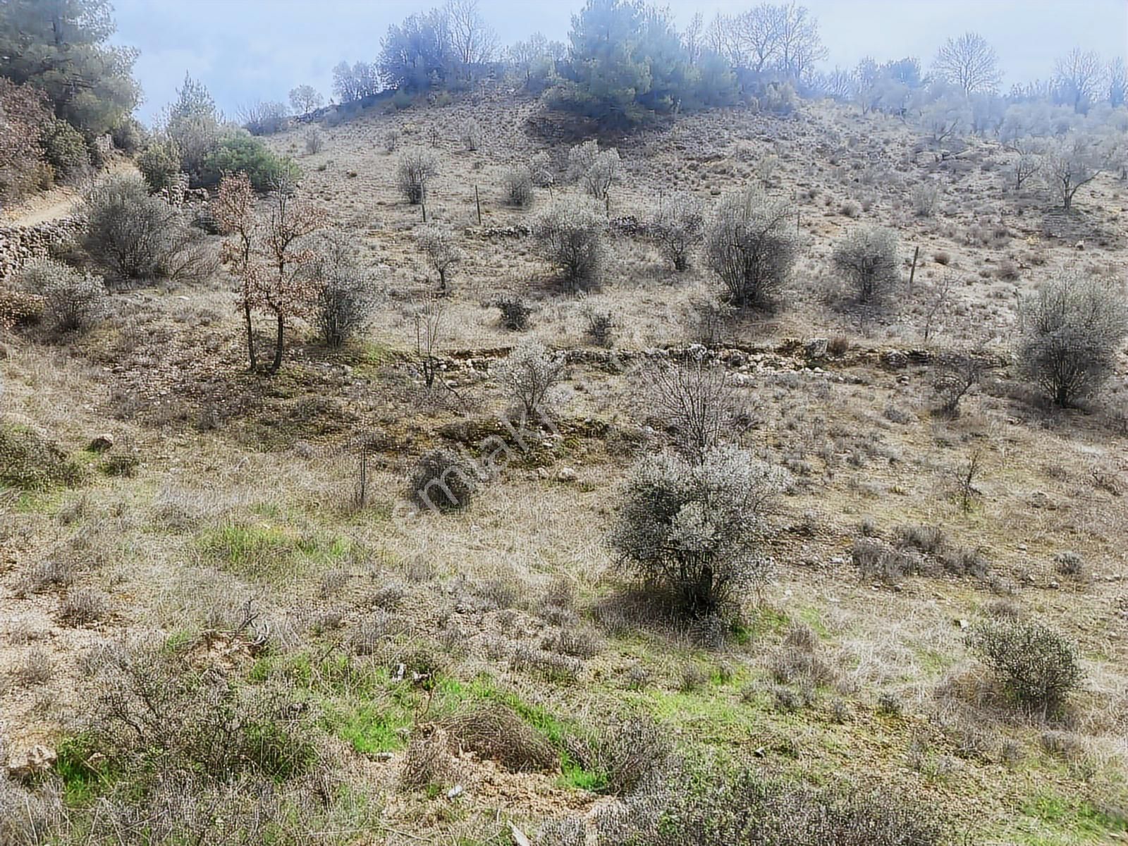 Muğla Menteşe Denizova'da Satılık 2232 M² 80m Yol Cepheli Tarla - Görsel 20