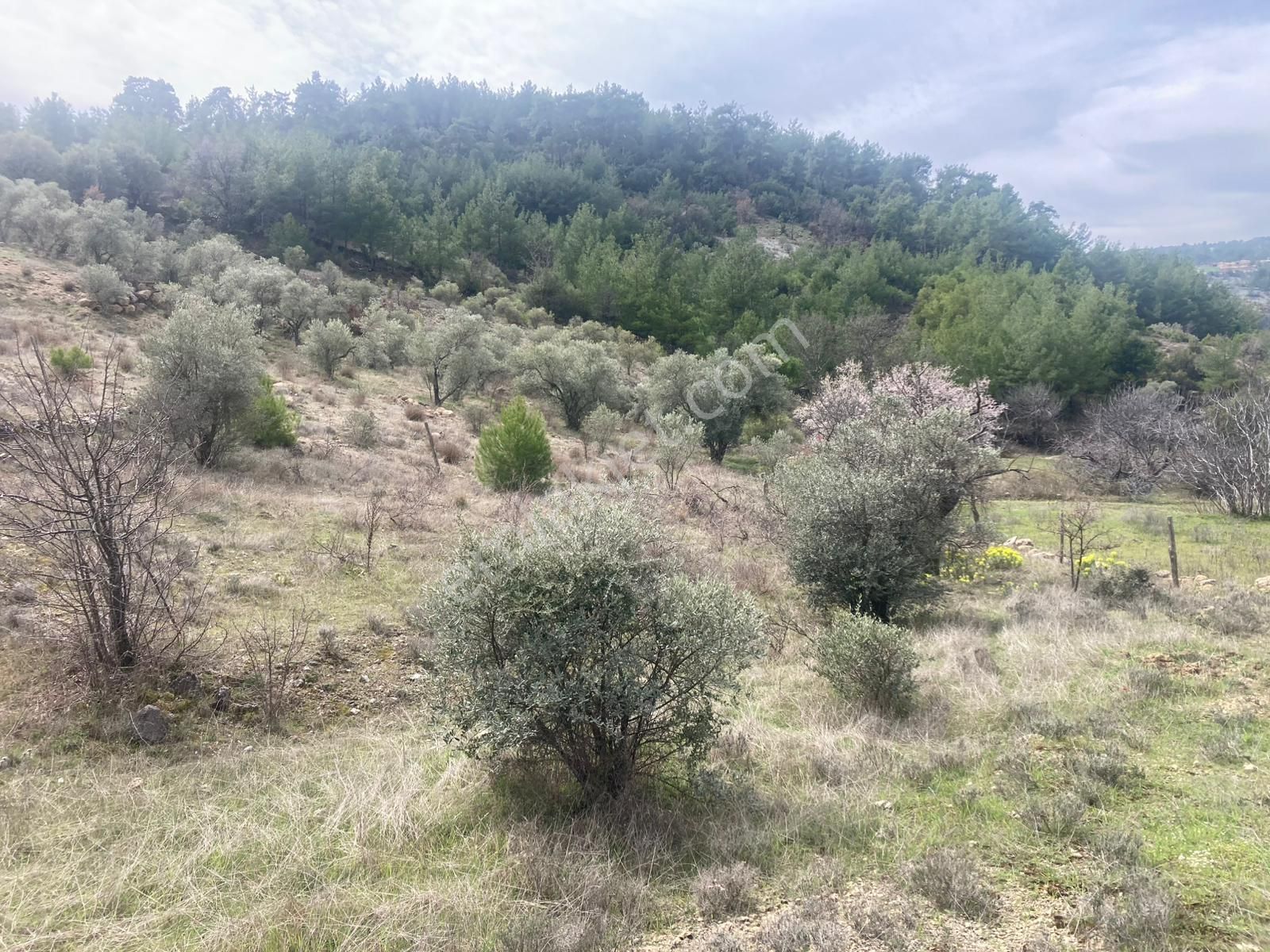 Muğla Menteşe Denizova'da Satılık 2232 M² 80m Yol Cepheli Tarla - Görsel 24