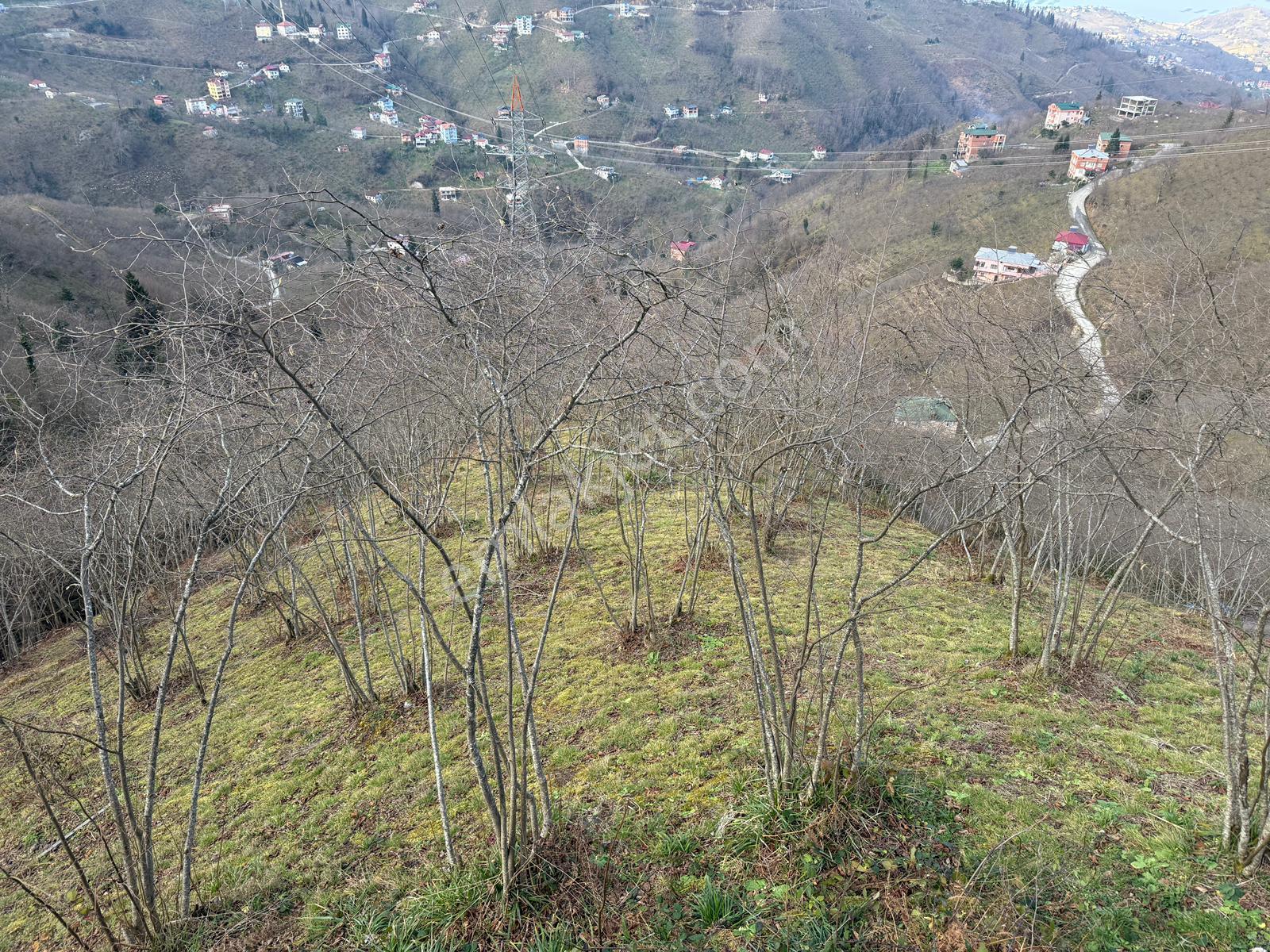 Trabzon Arsin'de Satılık Deniz Manzaralı Müstakil Ev - Görsel 23
