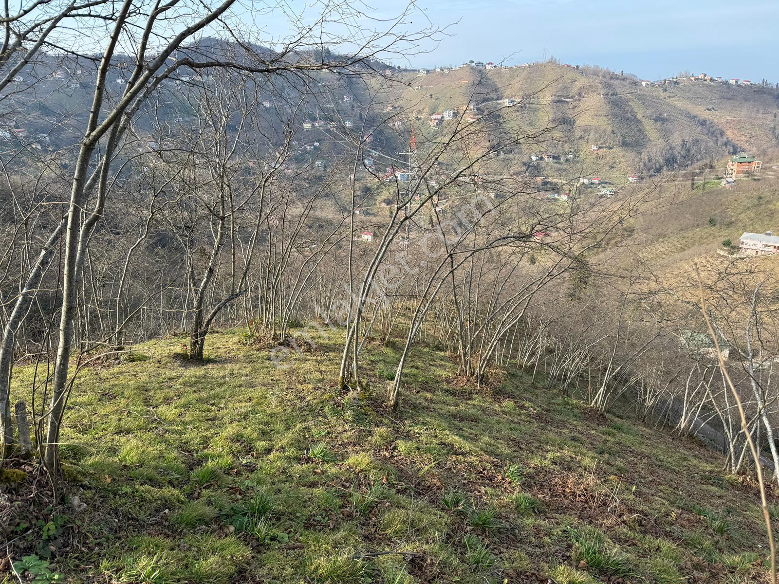 Trabzon Arsin'de Satılık Deniz Manzaralı Müstakil Ev - Görsel 24