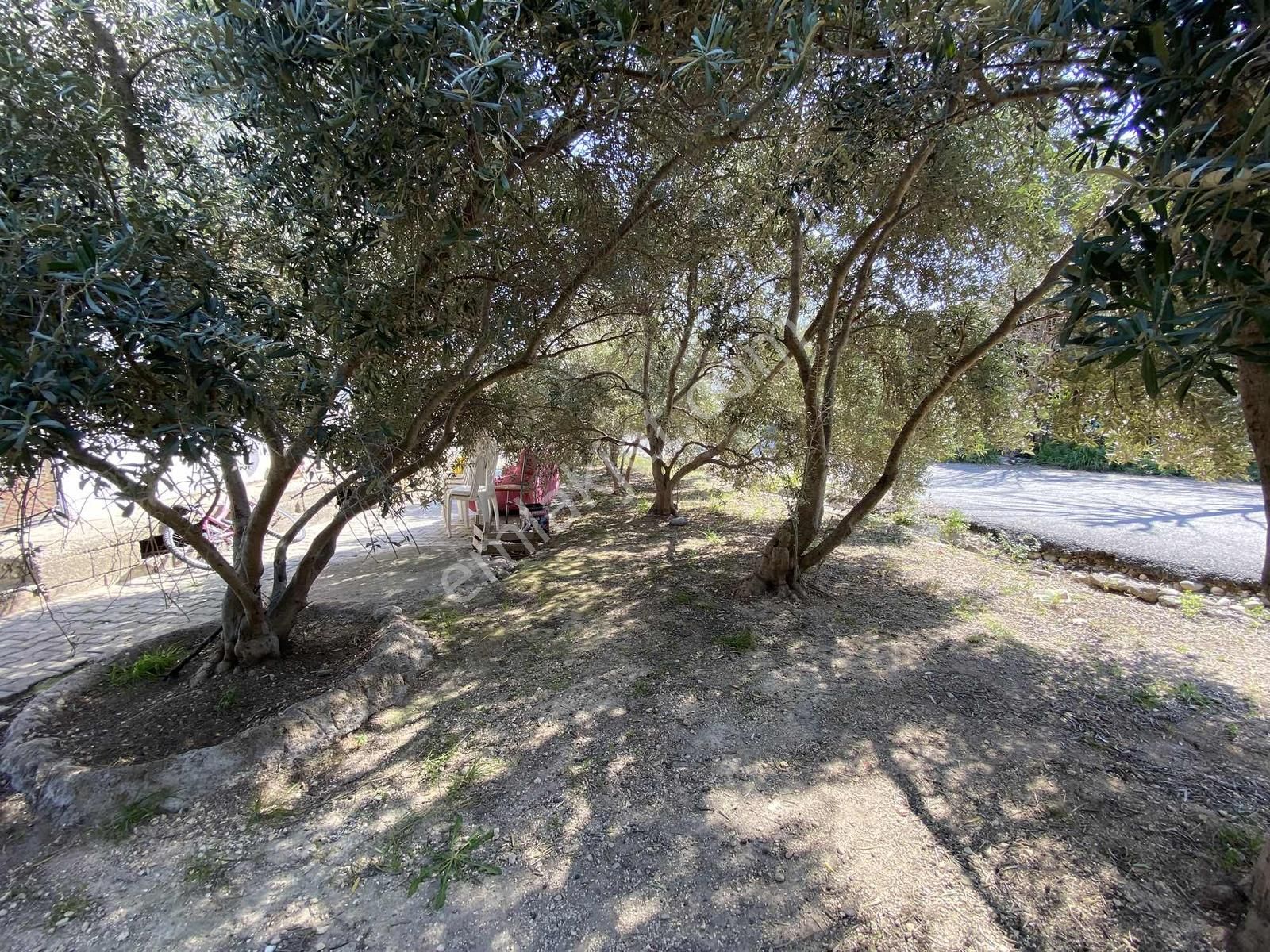 Tabiyede Satılık 2 Katlı Birbirinden Bağımsız 2+1 - Görsel 11