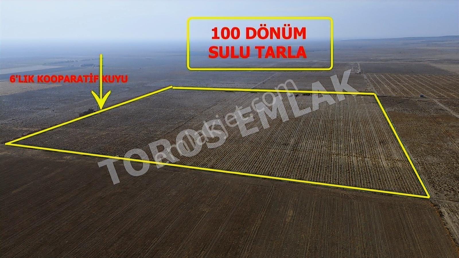Toros Emlak'tan Ereğli Zengen Kiralık 100 Dönüm Sulu Tarla - Görsel 13