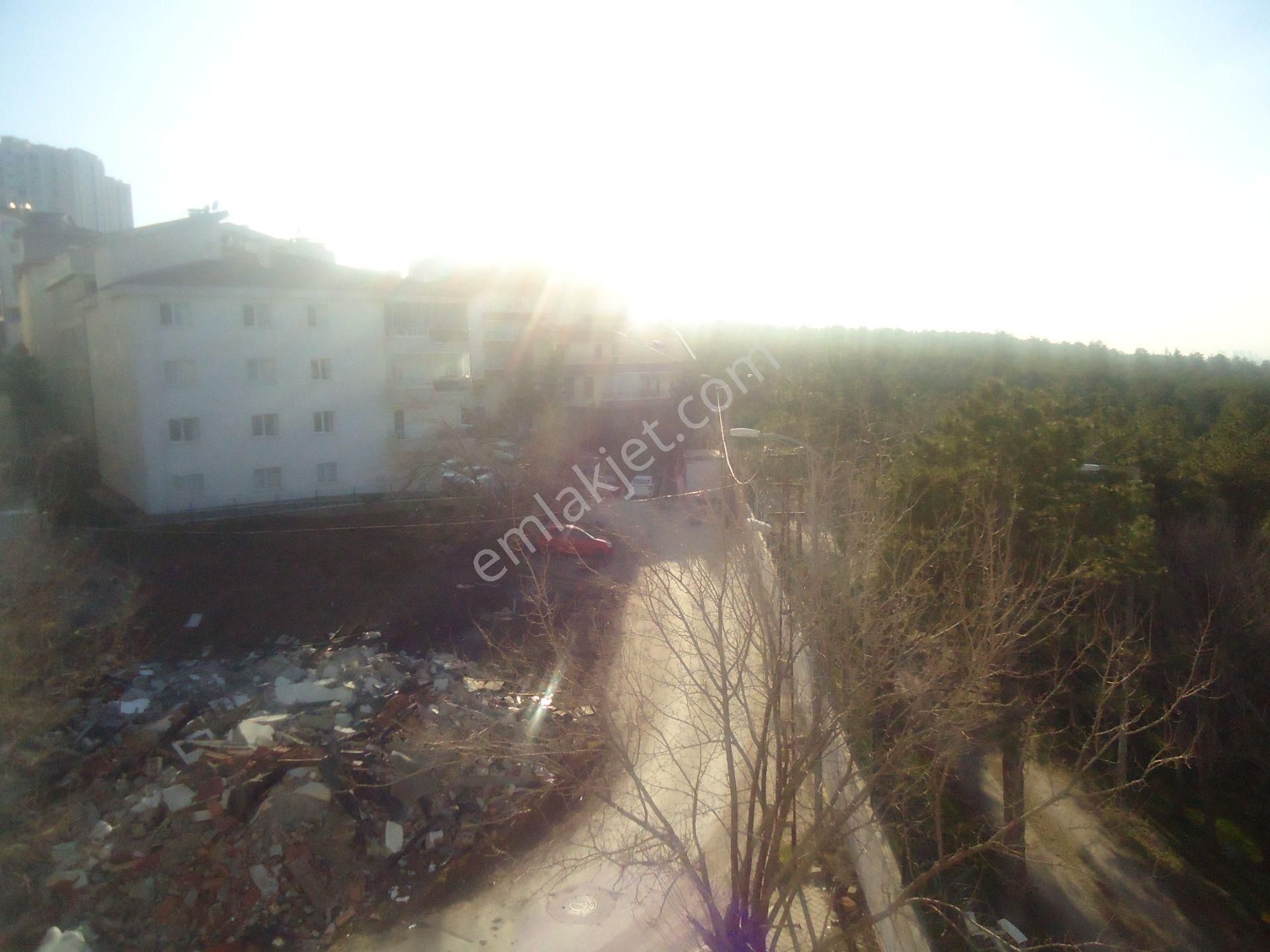 Krc'den Merkezi Konumda Cadde Üzeri Eşyalı Kiralık 1+1 Daire - Görsel 13