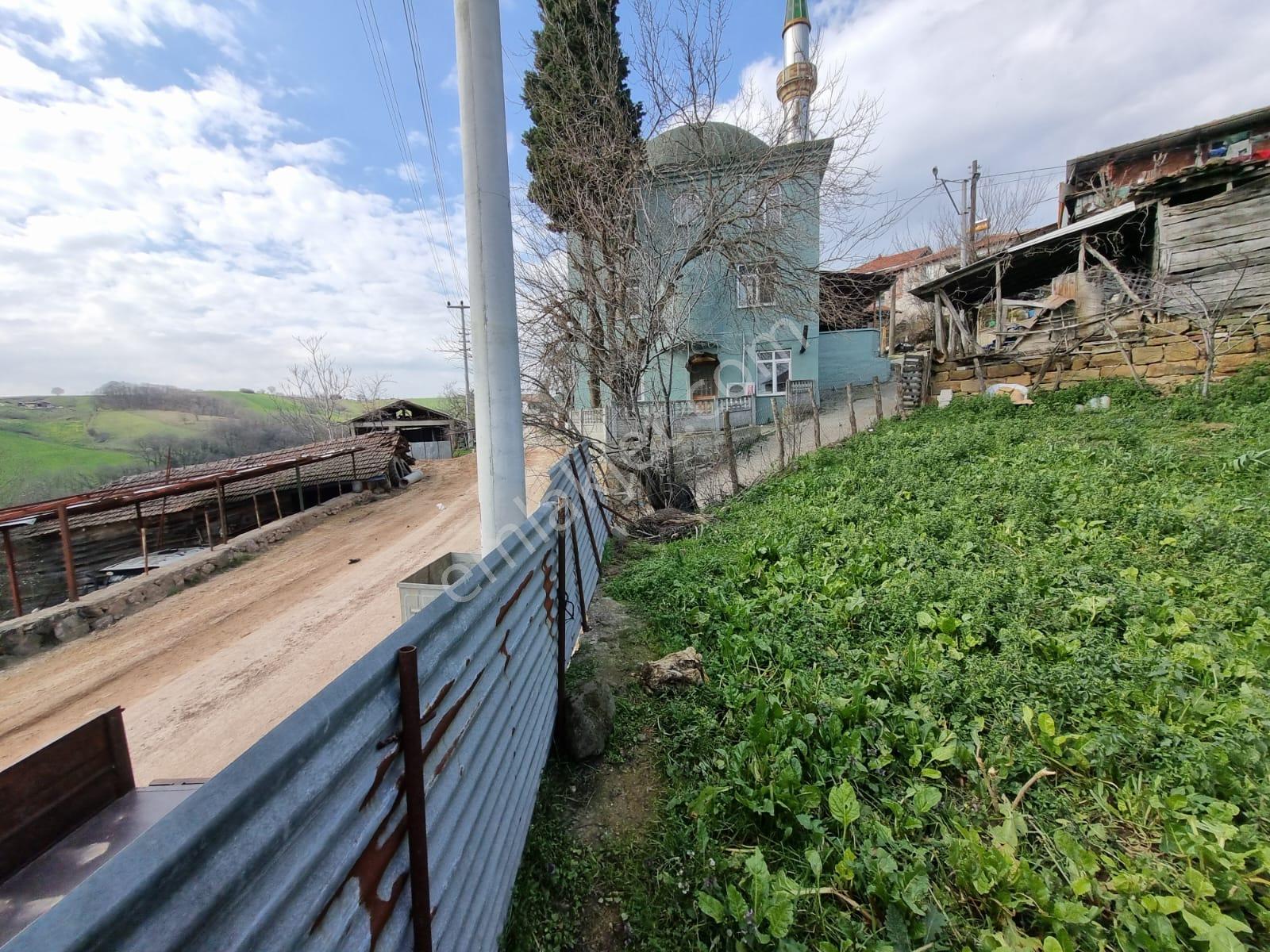 İzmit Kaynarca Mahallesi -şentepe'de Yerleşim Alanında Satılık Harika Bahçe - Görsel 14
