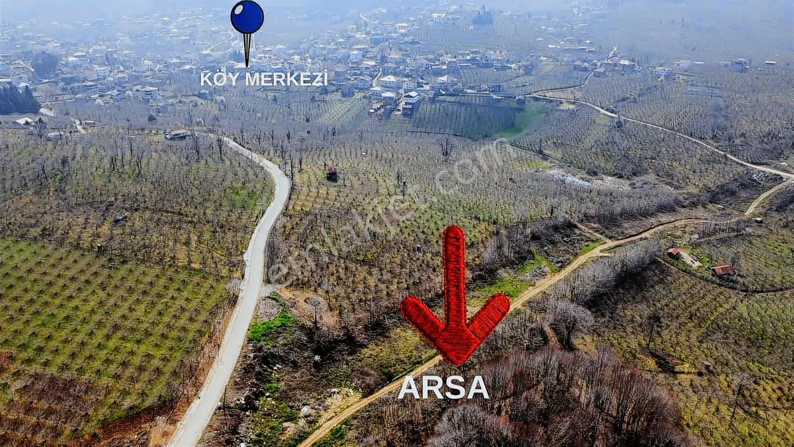 Kocaali Gümüşoluk (bolazar) Köyünde 905 M2 Fındık Bahçesi