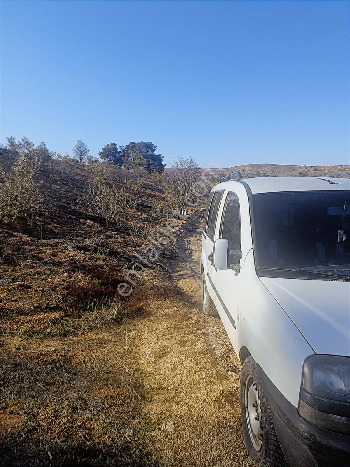 Oğuzeli Subaşın'da Tek Tapu 1237 M2 Bağ Evlik Arazi - Görsel 3