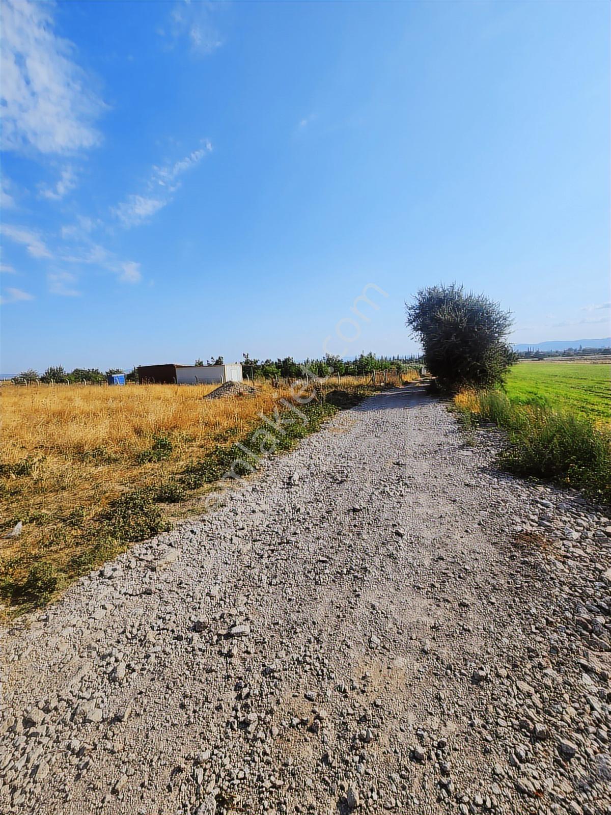 Yönden Köselerde Merkeze Yakın Sondaj Ve Yolu Olan Tarla - Görsel 19