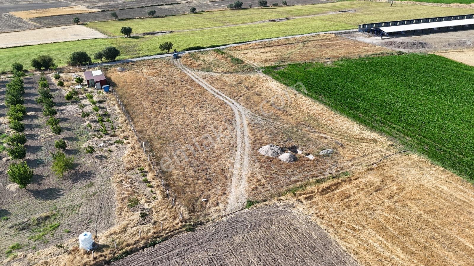 Yönden Köselerde Merkeze Yakın Sondaj Ve Yolu Olan Tarla - Görsel 12