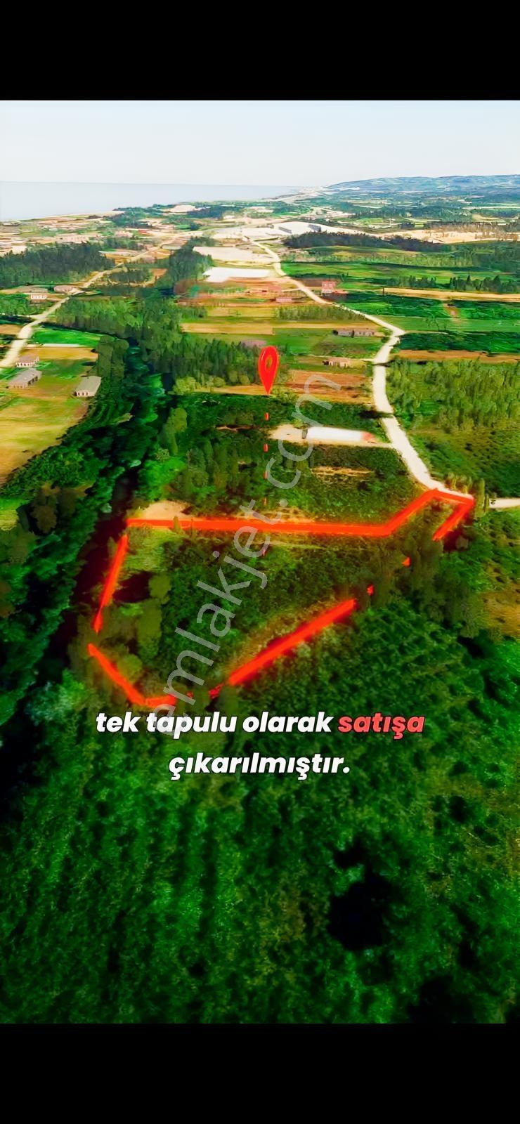 Akçay Da Yatırımlık Arazi Sahil Yoluna 1 Km Mesafede - Görsel 8