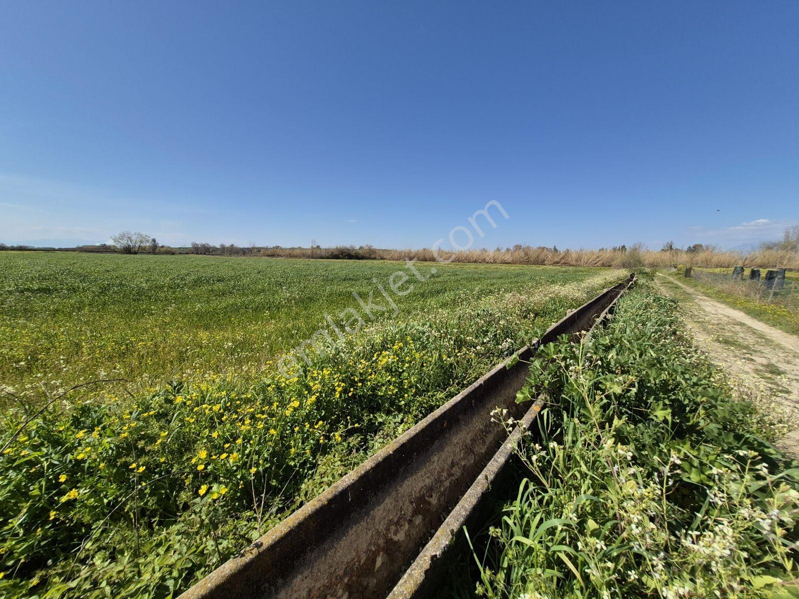 Serik Bogazkent*resmi Yolu Var*6.200m2*yatırımlık*satılık Tarla* - Görsel 10